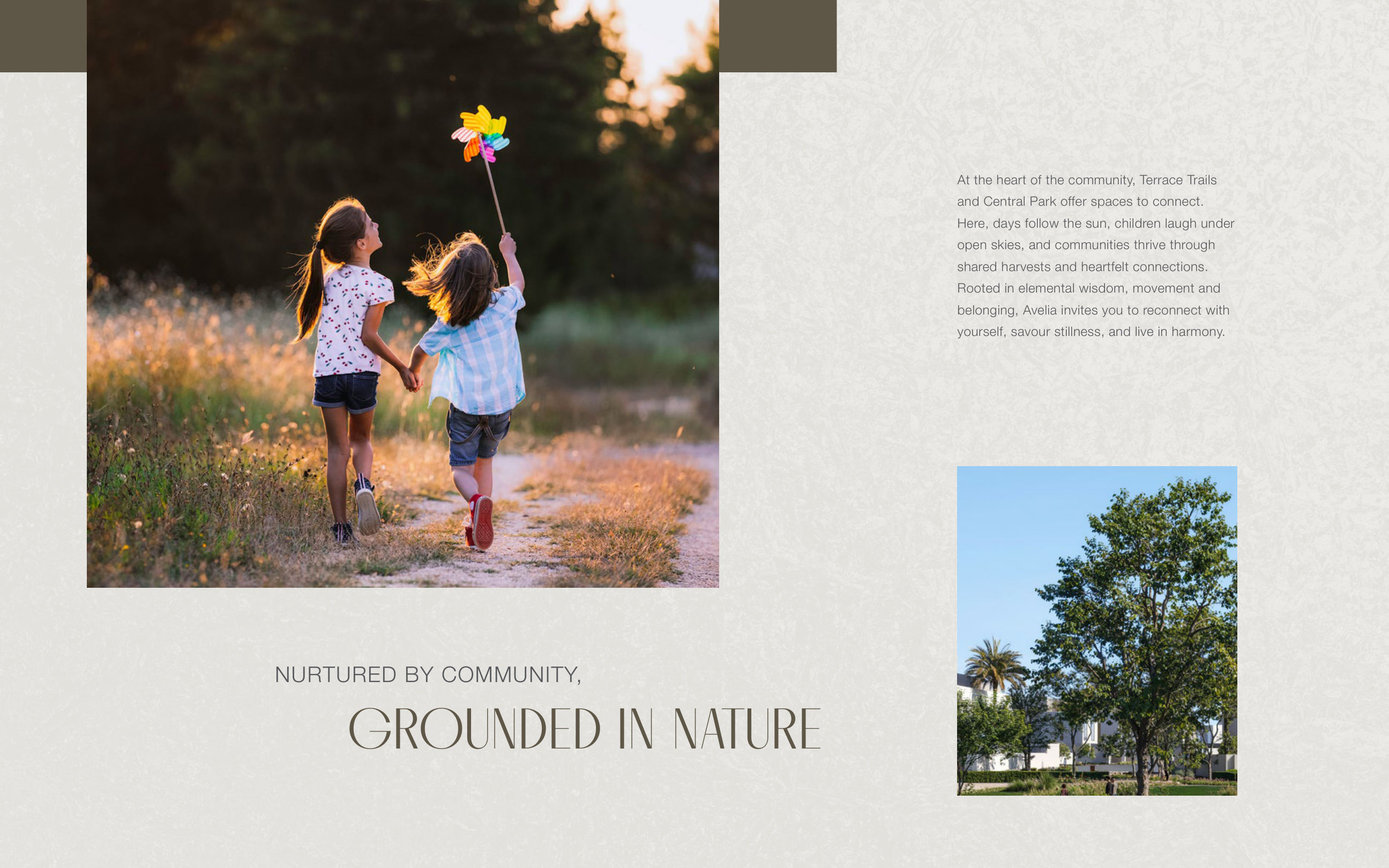 Avelia at The Valley brochure page image