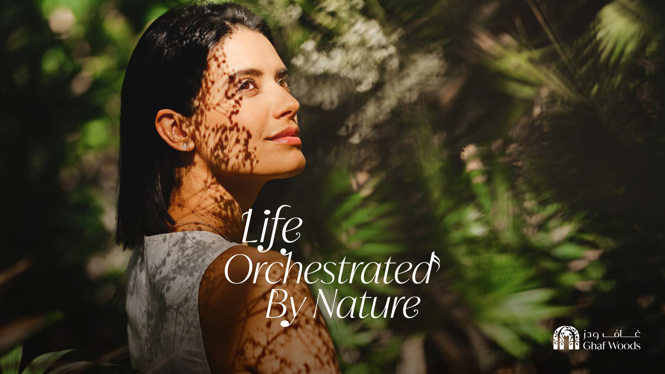 Ghaf Woods brochure image