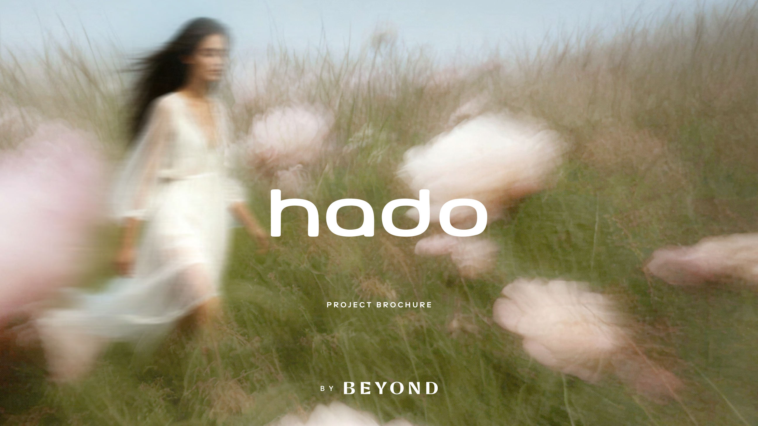 HADO brochure image